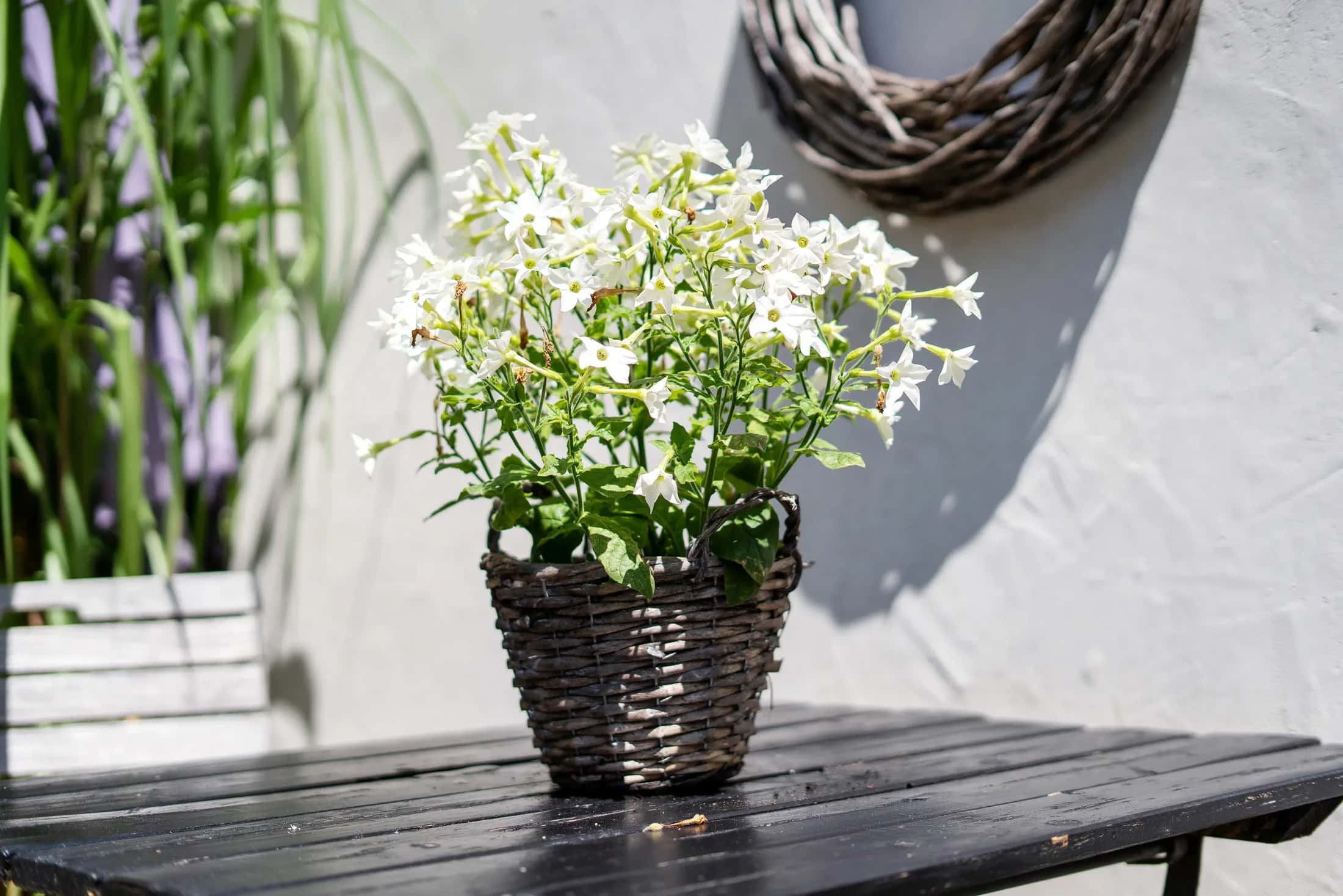 Maisonette Beach: Vorschaubild 12