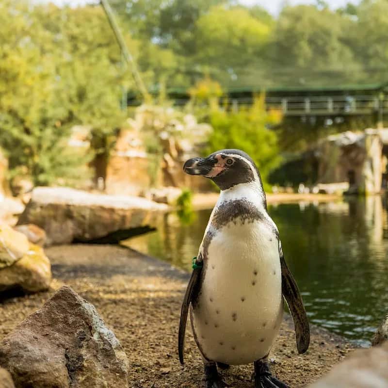 Aktivitäten mit Kindern – Bild 3