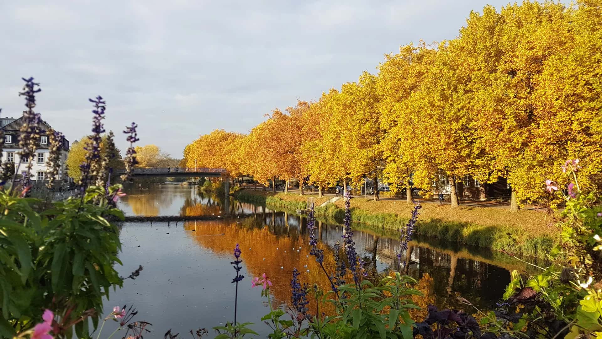 Radtouren – Bild 1