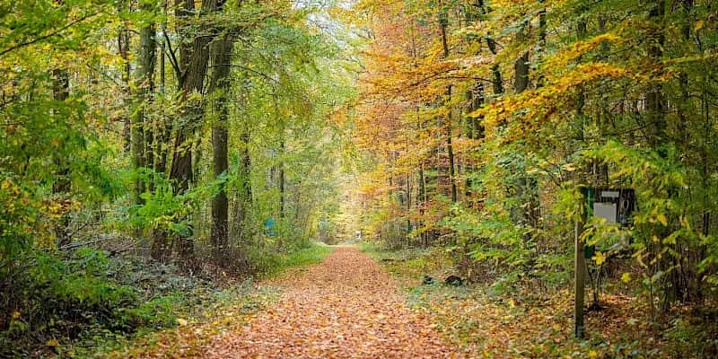 Ausflugsziele – Bild 1