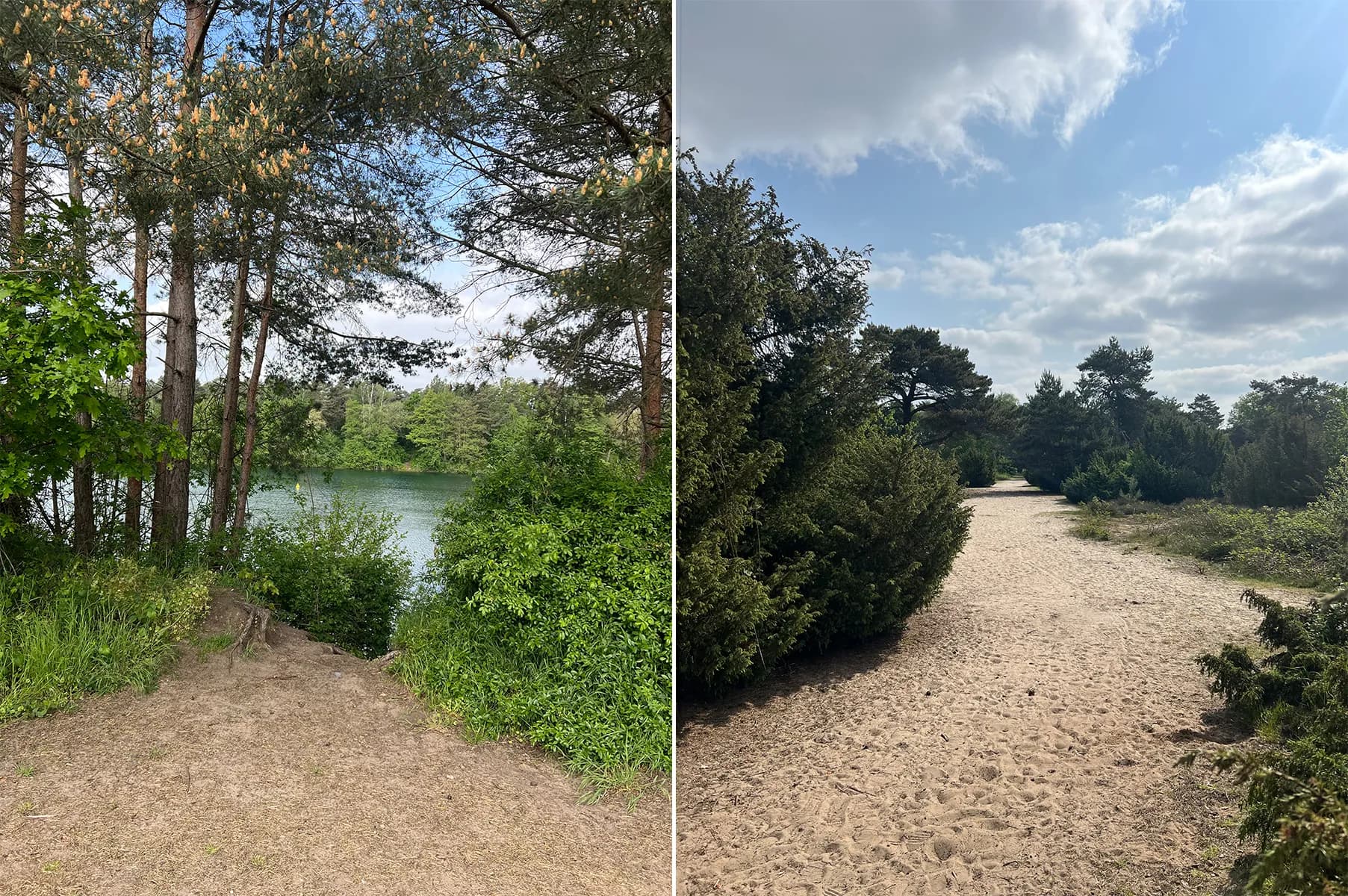 Cottage & Garden: Seeuferweg zwischen bäumen – Ferienwohnung im Münsterland