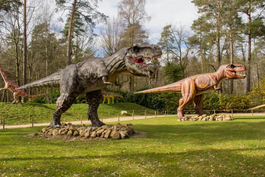 Aktivitäten mit Kindern